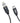 Chargeasap USB-C Cable Set Magnetic 18W Charging Cable: UNO Apple Lightning Black