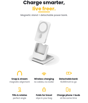 PowerSnap Powerbank