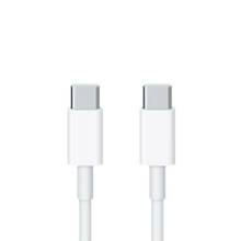Standard 100W Cable