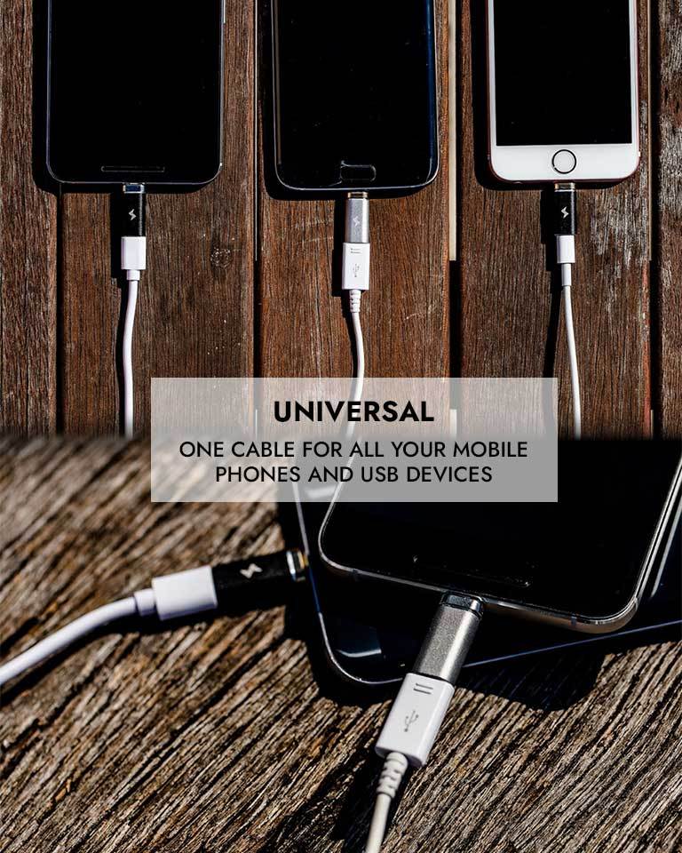 Cable for iPhone and Samsung convertible